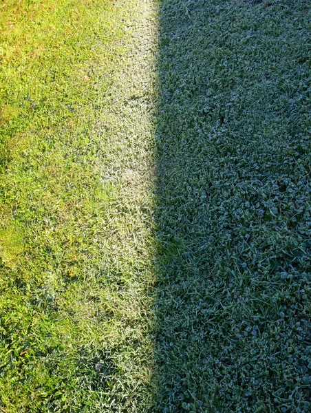 霜の降る朝の草の上の影の線 太陽の光の下で草を刈る — ストック写真