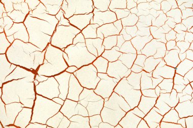 Beyaz boya duvarına yakın plan