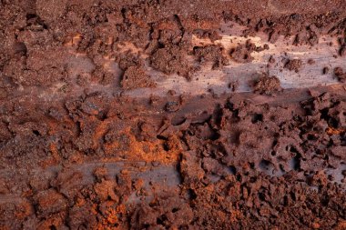 Tahta duvarda yuva termitinin arkaplanı ve dokusu