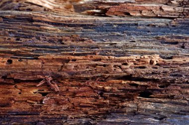 Renkli eski ahşap dokular. Yatay tahtalar birbirine sıkıca çivilenmiş ve güvenilir. 