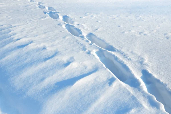 Voetafdrukken Sneeuw Een Diepe Sneeuwdrift — Stockfoto