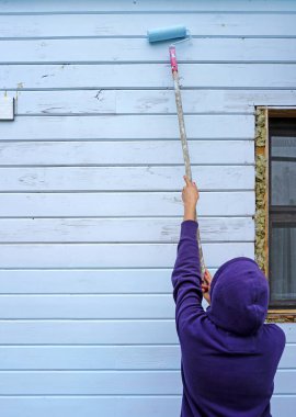 Duvarı mavi boyayla boyamak için boya silindiri kullanan kadın.                                