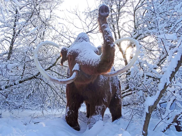 Mamutí Postava Sněhu Zimě Lese — Stock fotografie