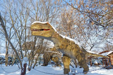 Kretase döneminden kalma etobur dinozor Tyrannosaurus Rex 'in yaşam boyu modeli.