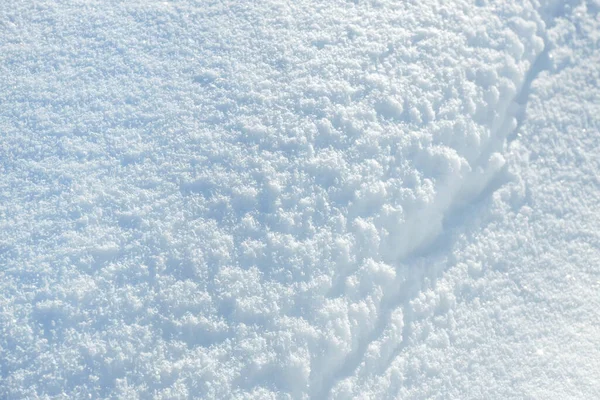Witte Sneeuw Close Textuur Detail Winterachtergrond — Stockfoto