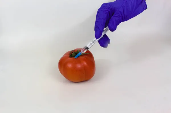 Gloved Hand Injecting Tomato Close View Isolated White — Stock Photo, Image