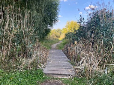 Solunda sazlık olan ahşap bir patika.