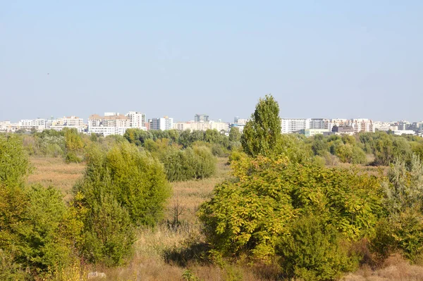 Park Drzewami Roślinnością Miastem Tle Widok Krajobrazu — Zdjęcie stockowe