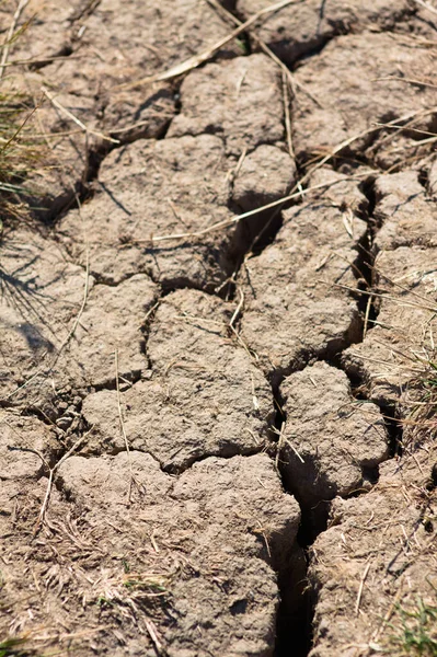 Vista Primer Plano Del Suelo Agrietado Por Sequía Con Enfoque — Foto de Stock