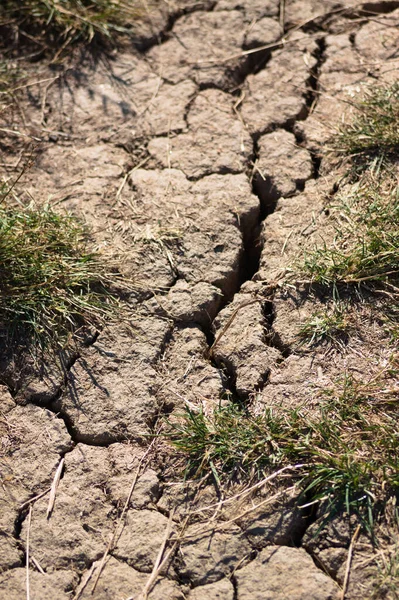 Primer Plano Suelo Agrietado Por Sequía Con Enfoque Selectivo Primer — Foto de Stock