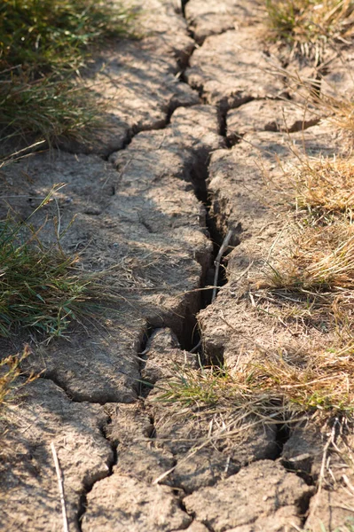 Primer Plano Tierra Agrietada Por Sequía Con Mechones Hierba Enfoque — Foto de Stock