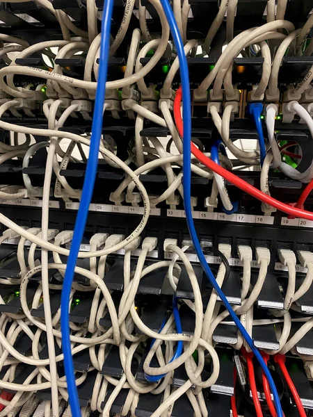 Primer Plano Cables Lan Grises Azules Rojos Rack Con Interruptores — Foto de Stock