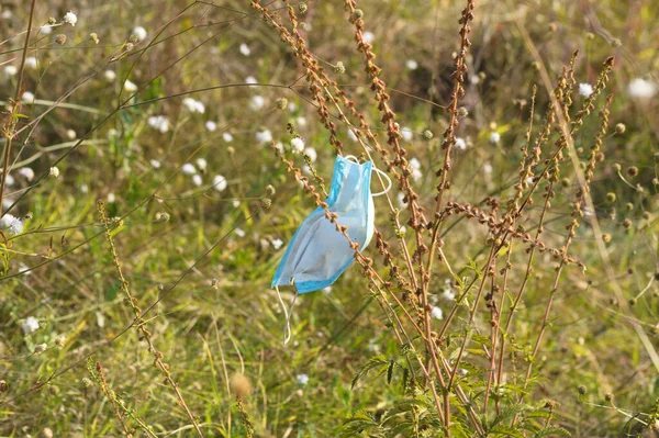 Tıbbi mavi yüz maskesi ön planda seçici odaklı bir bitkiye yakın plan