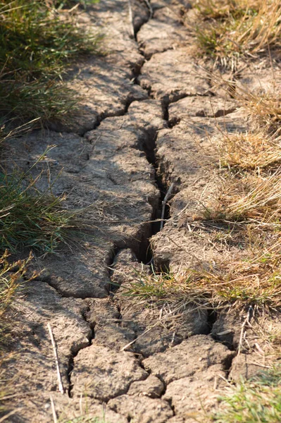 Vista Cerca Grietas Profundas Suelo Debido Sequía Con Hierba Seca — Foto de Stock