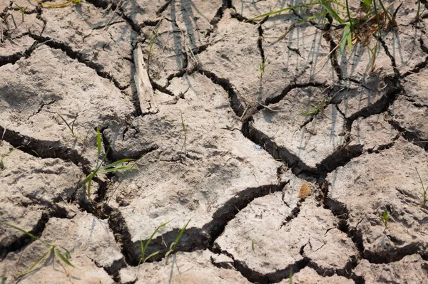 Polvo Plata Agrietado Por Sequía Grandes Grietas Lodo Seco Con — Foto de Stock