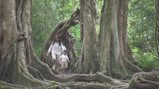 Küçük Mutlu Asyalı Aile Portresi Park Şehri Botanik Bahçesi Ndeki — Stok video
