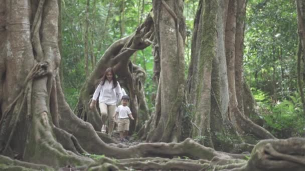 Porträt Einer Kleinen Und Glücklichen Asiatischen Familie Die Aktivitäten Park — Stockvideo