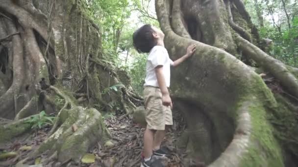Porträt Des Süßen Jungen Asiatischen Jungen Beim Naturstudium Dschungel Des — Stockvideo