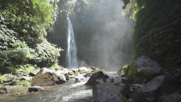 Hermosa Bali Nungnung Cascada Río Bosque Cámara Lenta — Vídeos de Stock