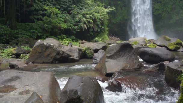 Hermosa Bali Nungnung Cascada Río Bosque Cámara Lenta — Vídeos de Stock