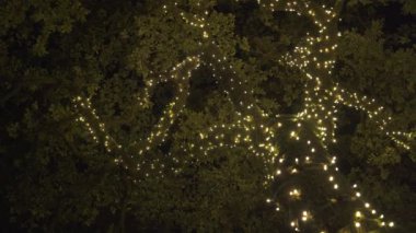 Güzel Renkli Noel Işıkları Mahalledeki Ağaçlar