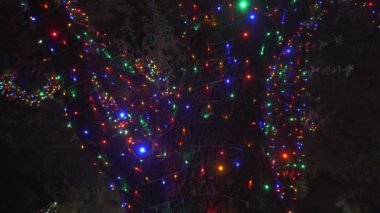 Güzel Renkli Noel Işıkları Mahalledeki Ağaçlar