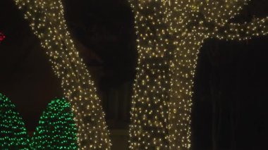 Güzel Renkli Noel Işıkları Mahalledeki Ağaçlar