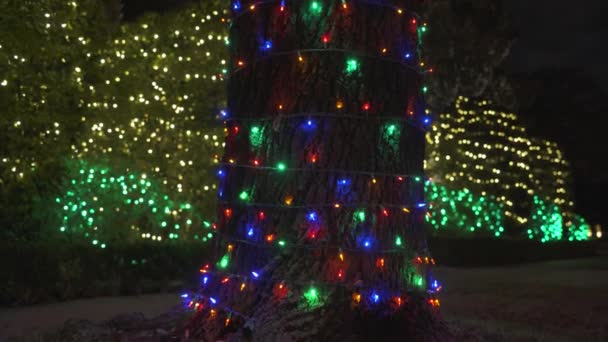 Schöne Bunte Weihnachtslichter Bäume Rund Die Nachbarschaft — Stockvideo