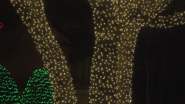Schöne Bunte Weihnachtslichter Bäume Rund Die Nachbarschaft — Stockvideo