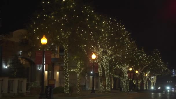 Güzel Renkli Noel Işıkları Mahalledeki Ağaçlar — Stok video