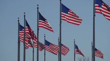 Amerika Birleşik Devletleri Bayrakları Açık Mavi Gökyüzü Arkaplanında Dalgalanıyor ve Yavaş Hareket Ediyor