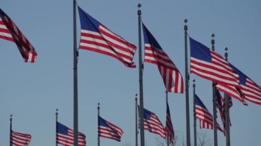 Amerika Birleşik Devletleri Bayrakları Açık Mavi Gökyüzü Arkaplanında Dalgalanıyor ve Yavaş Hareket Ediyor