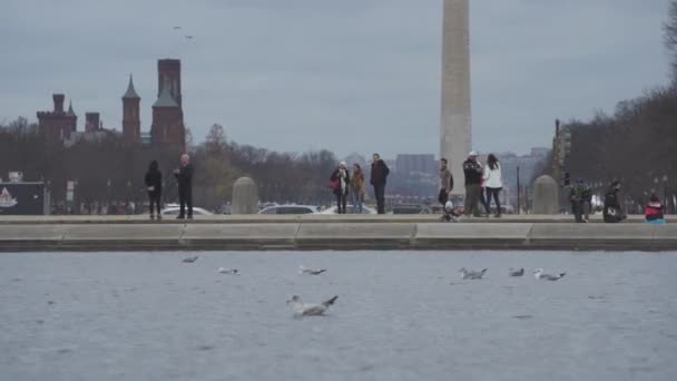 ワシントンDc アメリカ ワシントン記念碑 曇りの日の観光客の群衆 — ストック動画
