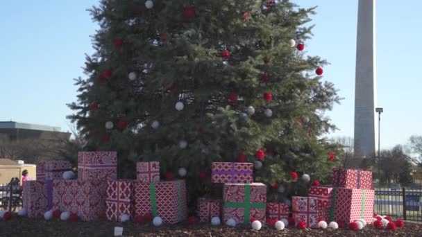 Washington Usa Circa December 2021 Nationale Kerstboom Voor Het Witte — Stockvideo