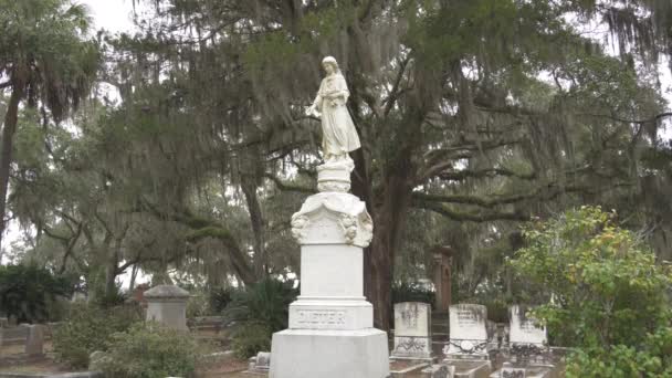 Savannah Georgia Usa Bonaventure Cemetery Scenic Bluff Wilmington River — Vídeo de Stock