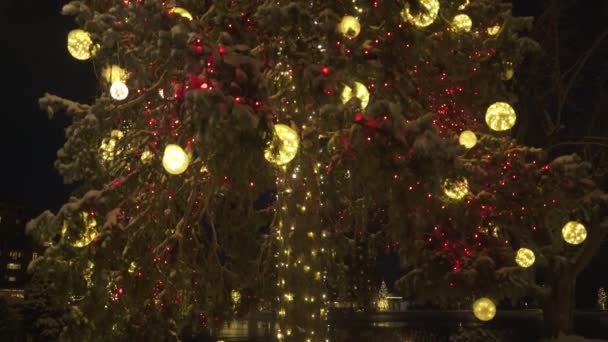 Colorado Springs Usa Christmas Lights Broadmoor Hotel — Stockvideo