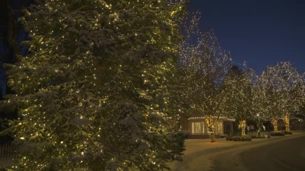 Colorado Springs Usa Christmas Lights Broadmoor Hotel — Stockvideo