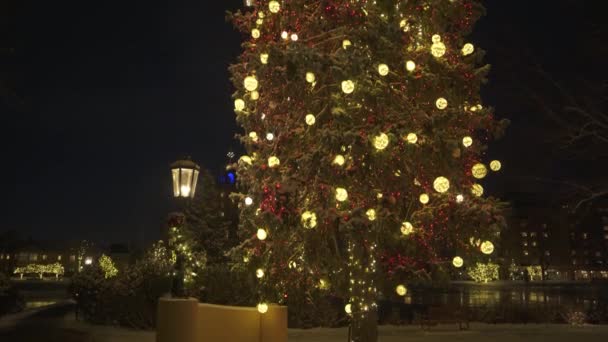 Colorado Springs Usa Christmas Lights Broadmoor Hotel — Stockvideo