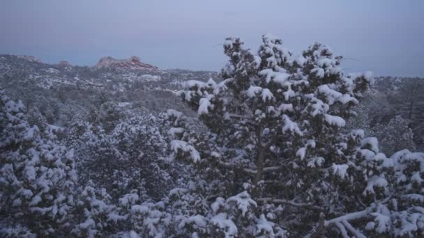 Colorado Springs Usa Garden Gods Covered Snow Ice Winter Storm — стоковое видео