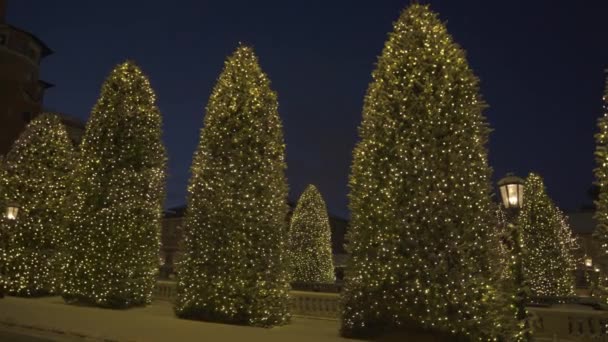 Colorado Springs Usa Christmas Lights Broadmoor Hotel — Stockvideo