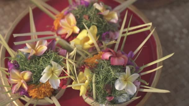 Fabricación Ofrendas Tradicionales Flores Hindúes Balinesas Canang Sari — Vídeo de stock