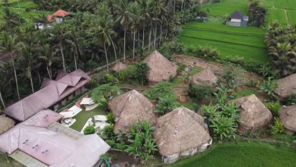 Ubud Bali Indonesia Mana Earthly Paradise Eco Villa Hotel Rodeado — Vídeos de Stock