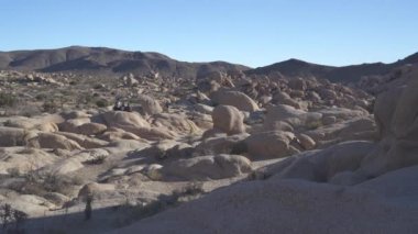 Kaliforniya 'daki Joshua Tree Ulusal Parkı' nın Doğal Çöl Manzarası