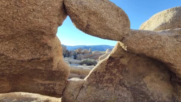Φύση Desert Τοπίο Του Joshua Tree Εθνικό Πάρκο Στην Καλιφόρνια — Αρχείο Βίντεο