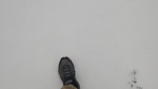 Richardson Dallas Texas Februar 2022 Eisglatte Straße Nach Schneefall Winter — Stockvideo