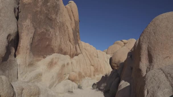 Φύση Desert Τοπίο Του Joshua Tree Εθνικό Πάρκο Στην Καλιφόρνια — Αρχείο Βίντεο