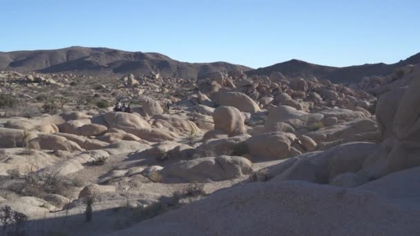 Nature Desert Landscape Joshua Tree National Park California Stati Uniti — Video Stock