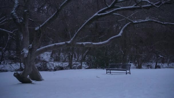 冬季大雪期间德克萨斯州理查森草原溪公园的长椅 — 图库视频影像