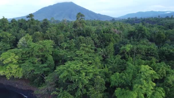 Halmahera Kuzey Maluku Endonezya Daki Tropikal Ada Kristal Berrak Beyaz — Stok video