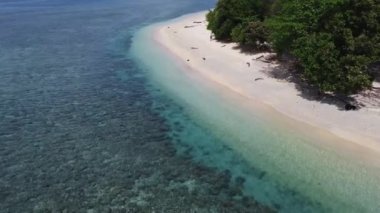 Halmahera Kuzey Maluku Endonezya 'daki Tropikal Ada Kristal Berrak Beyaz Kum Sahil Mercan Resifi